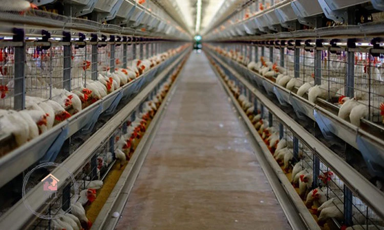 سوله‌ سازی در کرمانشاه