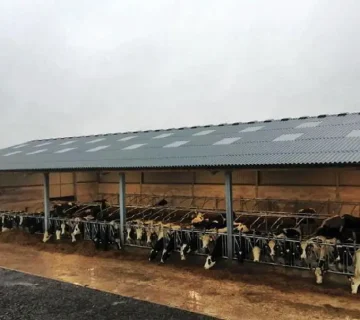 ساخت سوله گاوداری: راهنمای جامع و کاربردی