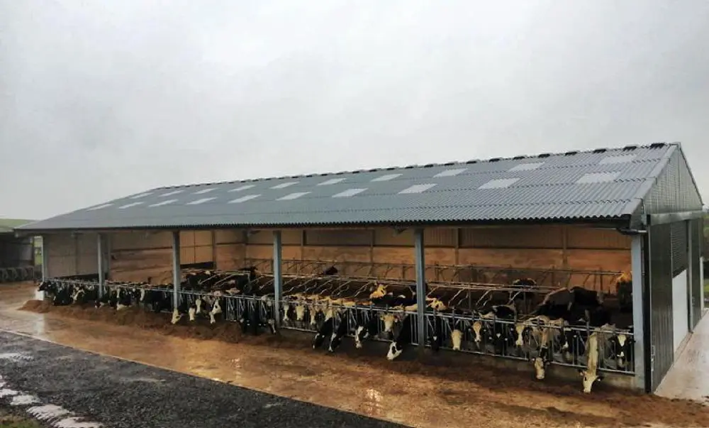 ساخت سوله گاوداری: راهنمای جامع و کاربردی